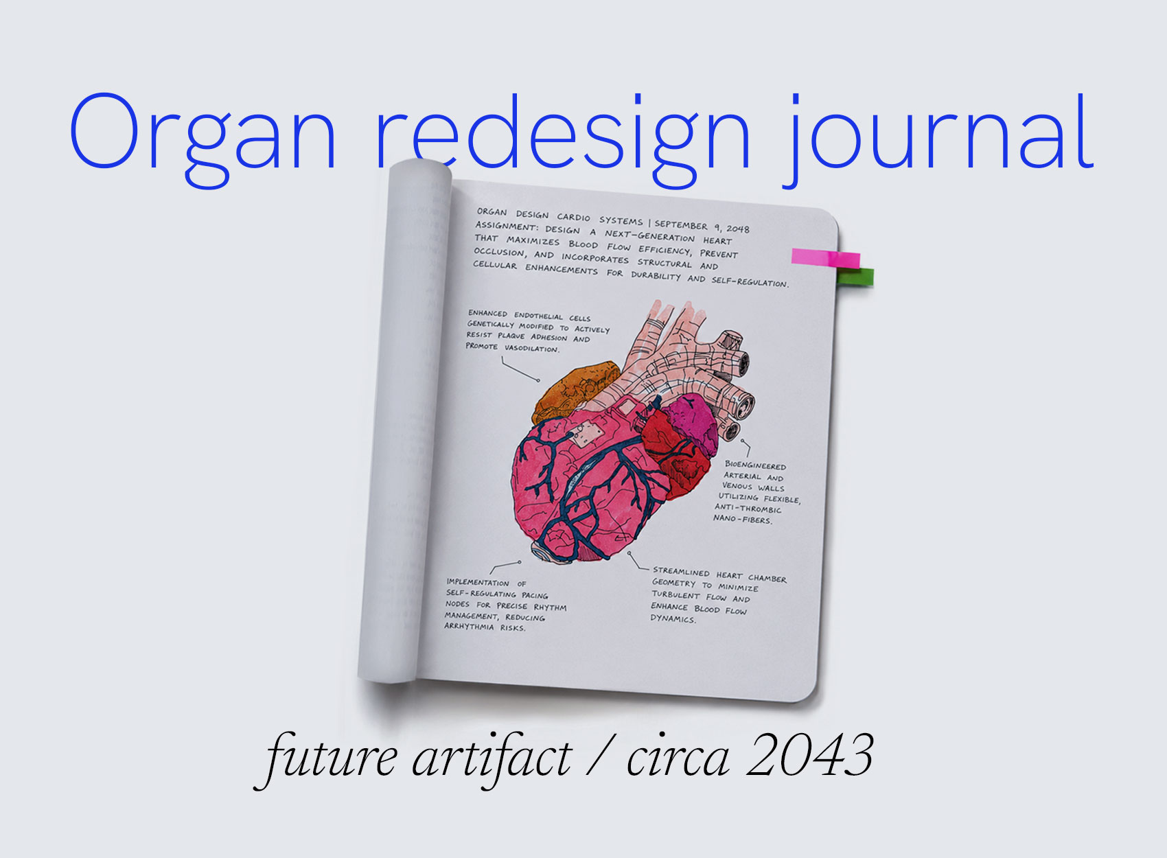 Organ Re-Engineering Notebook — coursework documenting engineered human organs, circa 2048