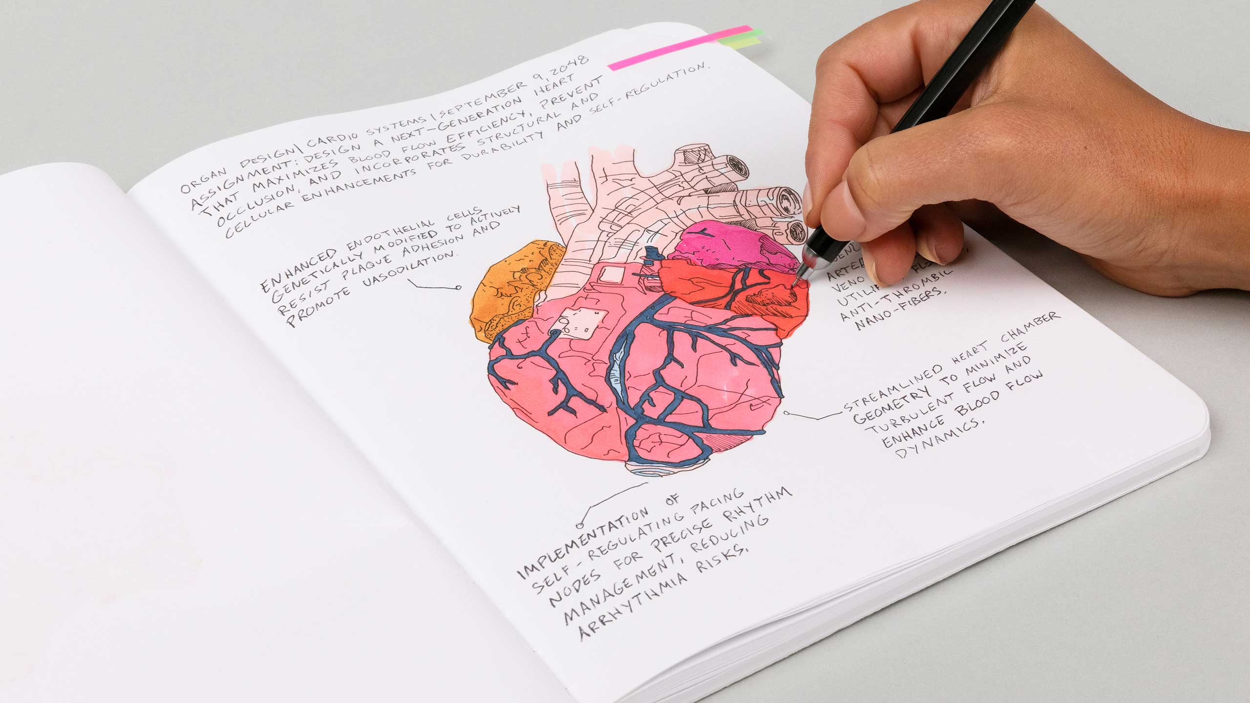 Student sketch of a redesigned cardiovascular system