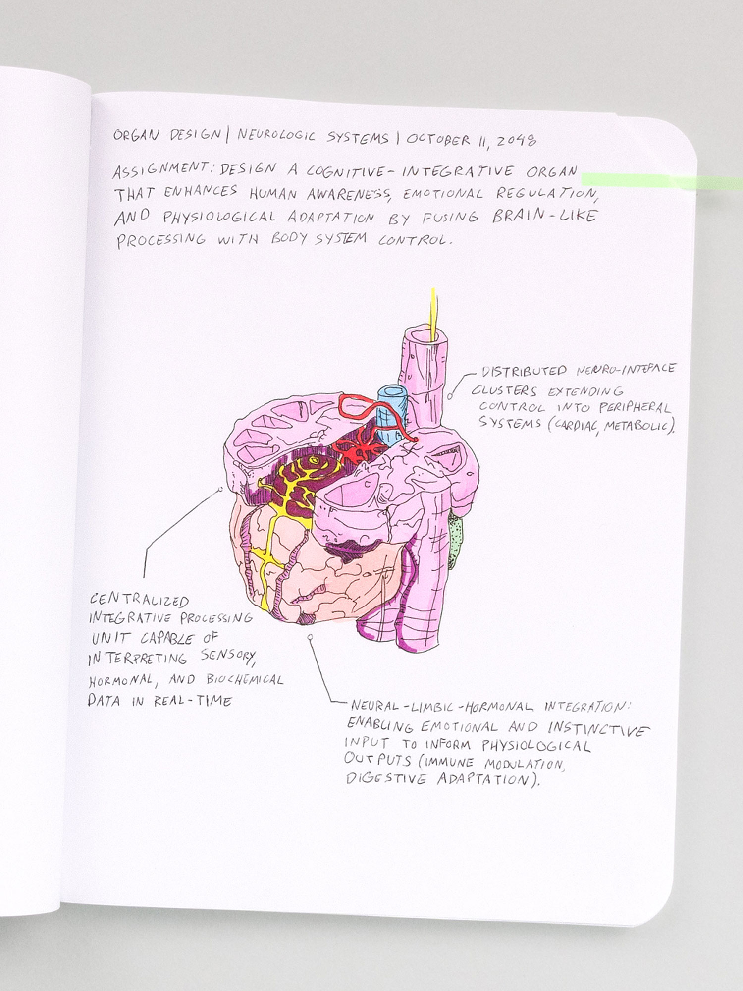Notebook study of a redesigned neurological system