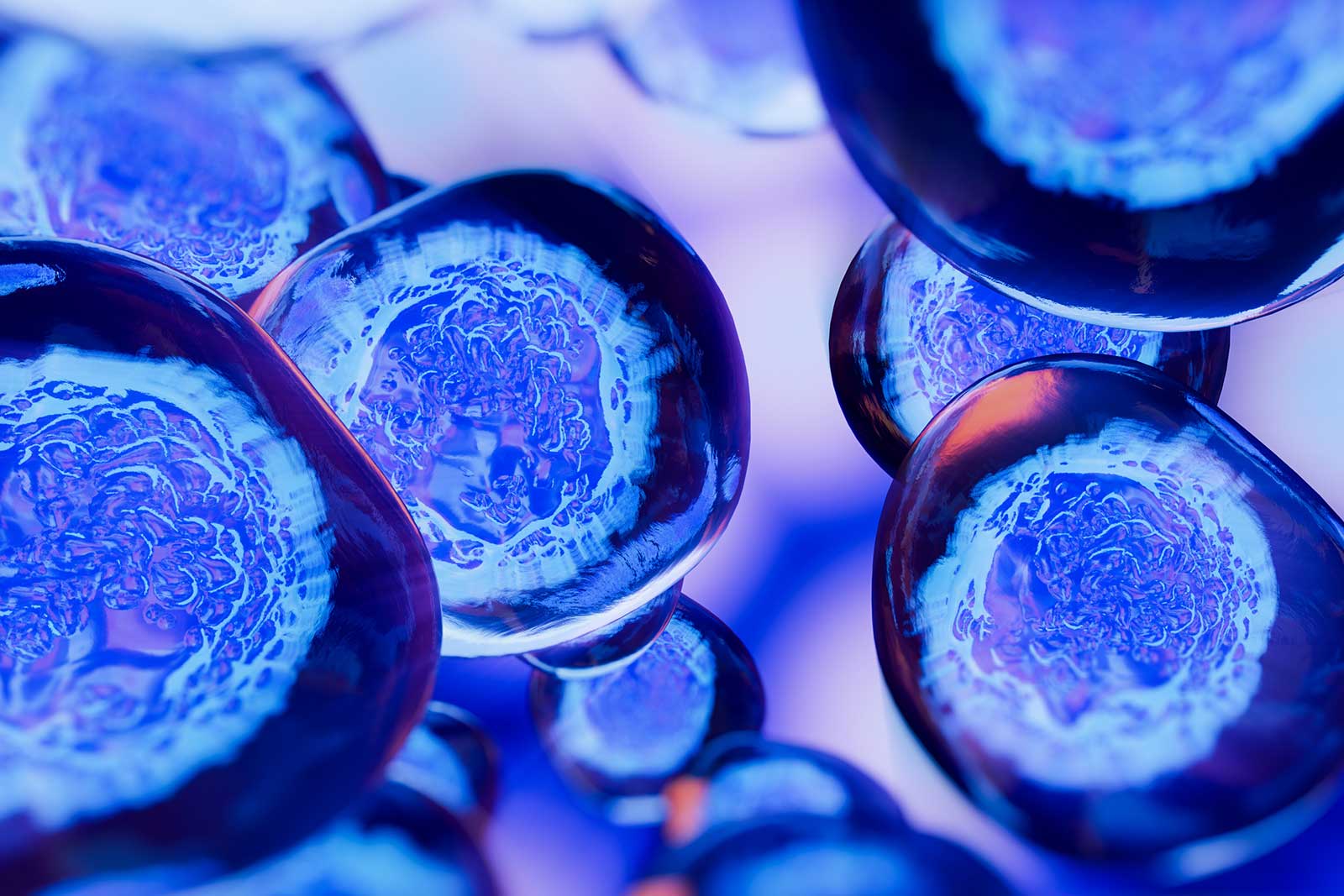 A laboratory vial of cultured cells under sterile clinical lighting